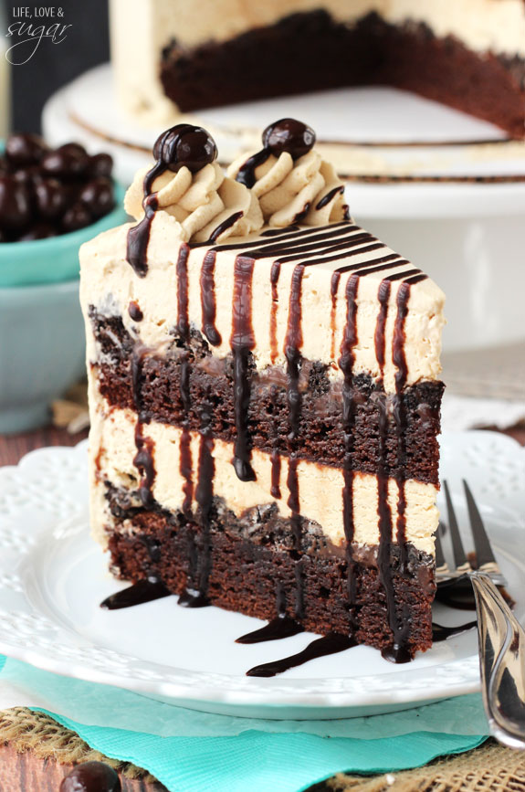 53 Best Homemade Ice Cream Cake Recipes – Page 3 of 5 – My ...